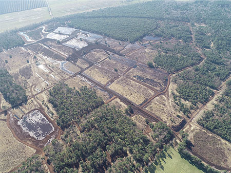 Hydrologische Unterteilung durch den Bau von Moorpoldern: Das Lichtenmoor im Landkreis Heidekreis war bisher stark von Entwässerung betroffen. Auf dem ehemals „lichten Moor“ breitete sich dichter Wald aus.