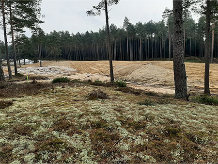 Die sandüberdeckte Verwallung passt sich nach Abschluss des Vorhabens optisch unauffällig in die Dünenlandschaft ein.