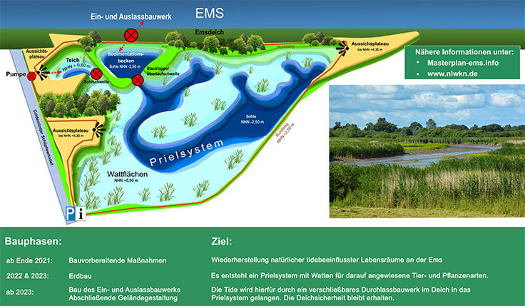 Visualisierung des Maßnahmenplans: Bauphasen und Ziele des Projektes „Tidepolder Coldemüntje“