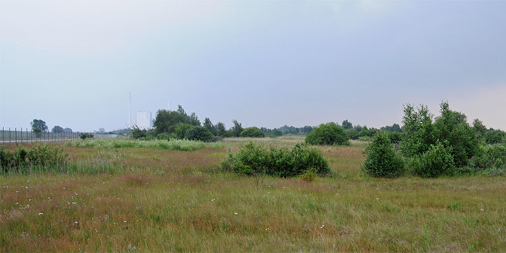 Die durch Landgewinnungsmaßnehmen in den 1970er Jahren entstandenen Flächen sind als EU-Vogelschutzgebiet gesichert.