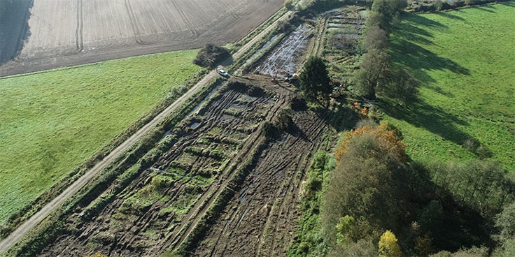 Im Bereich des Teichkomplexes II wurde im Oktober 2021 das Baufeld freigemacht.