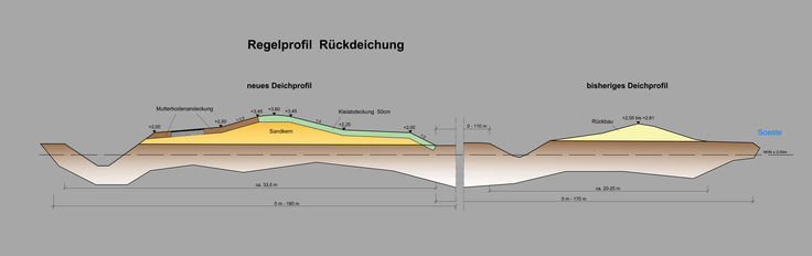 Regelprofil: Im sogenannten Regelprofil, einer schematischen Darstellung der Deichrückverlegung, werden die Änderungen gegenüber dem bestehenden Deichprofil sichtbar.