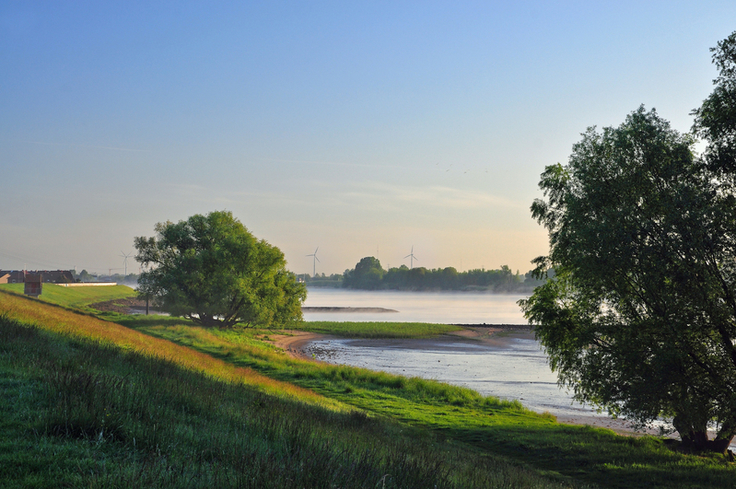 Ein Frühlingsmorgen an der Elbe bei Seevetal. Die Deiche der Tideelbe rücken verstärkt in den Blick der Küsten- und Hochwasserschützer. Bebauung in Deichnähe erschwert die Planungen für die erforderlichen Verstärkungen (Bild: Zietz/NLWKN).