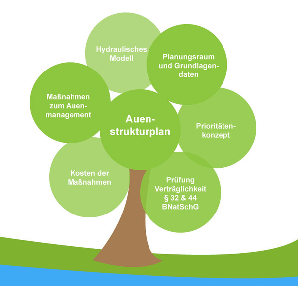 Schematisch dargestellt: Die Bestandteile des Auenstrukturplans.