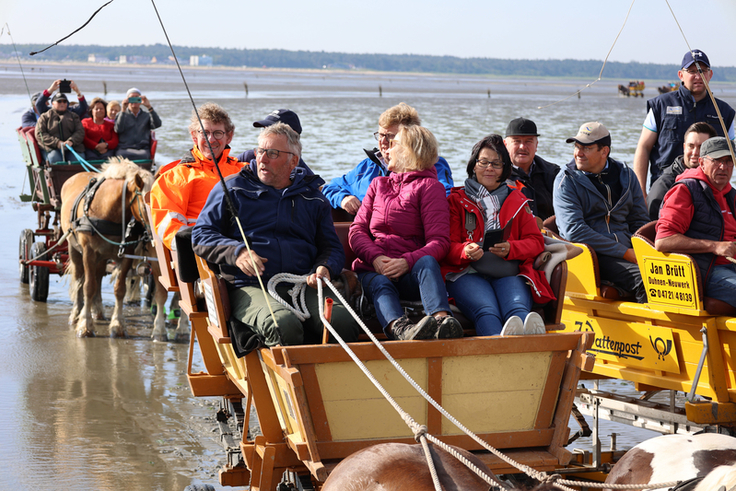 Frank Doods (hinten links) überzeugte sich beim Ortstermin von der Befahrbarkeit der neuen Strecke und den naturnahen Maßnahmen zur Stabilisierung (Bild: Kolbenstetter/Stadt Cuxhaven).