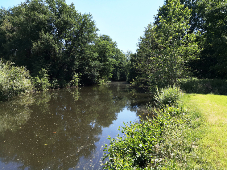 Auf ihrem Weg in die Vechte wechseln sich an der Dinkel unbegradigte und begradigte Flussabschnitte ab. Für den niedersächsischen Teil des Flusses wurde jetzt ein artenschutzkonformer Unterhaltungsplan vorgestellt (Bild: Schwanken/NLWKN).