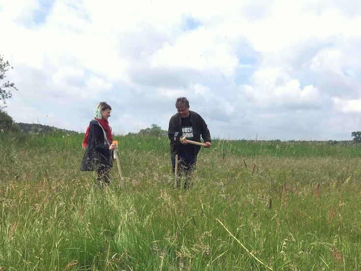 Lina Brackelmann und Burghard Wittig von der Naturschutzstation Wümme des NLWKN pflocken die besonders artenreichen Standorte aus. Auf diesen Flächen werden Samen bzw. Heu geerntet und zur Übertragung auf die artenarme Empfängerfläche verladen.