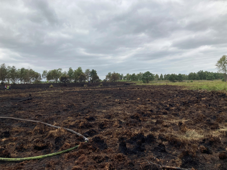 In diesem Bereich ist das Feuer rasch über die Oberfläche gelaufen. In anderen Teilen des Moores hat es sich in den Torf gefressen (Foto: Bruchmann/NLWKN).