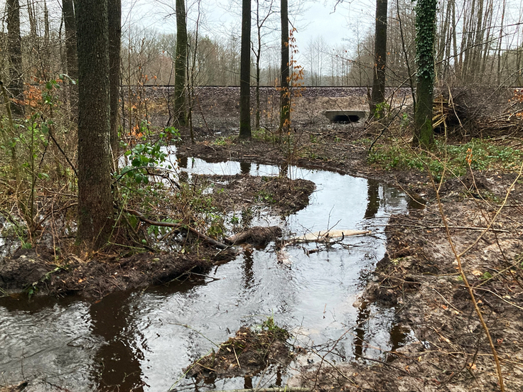 Durch den neuen Großdurchlass im Bahndamm wurde die Gewässersohle des Kucksmoorgrabens angehoben, so dass nun ein geringeres Wasservolumen als zuvor durch das Projektgebiet abfließt (Foto: Ines Bruchmann, NLWKN).