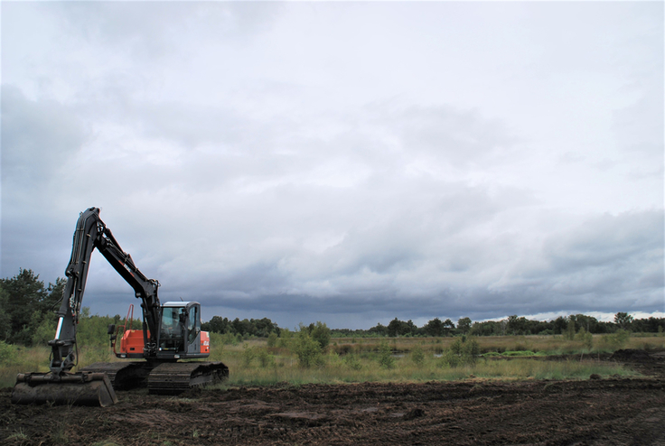 Mit der Schaufel sammelt ein Bagger Baumaterial auf der Fläche, um den Damm im Hintergrund zu erhöhen (Foto: Dorothee Wibbing, Naturschutzring Dümmer e.V.).