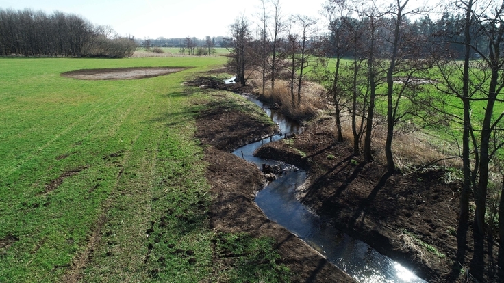 Aus der Luft gut sichtbar: Nicht mehr schnurgerade, sondern mäandrierend durchfließt die Scheppau im Bereich des zweiten Bauabschnitts die Landschaft im Landkreis Helmstedt (Bild: Seemann/NLWKN).