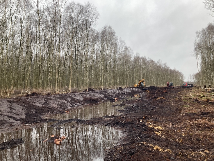 Klimaschutz und aktiver Brandschutz zugleich: Bagger schieben den Torf im Großen Moor zu Torfwällen auf. Der Torf wurde dabei aus den umliegenden Bereichen gewonnen (Foto: Ines Bruchmann, NLWKN).