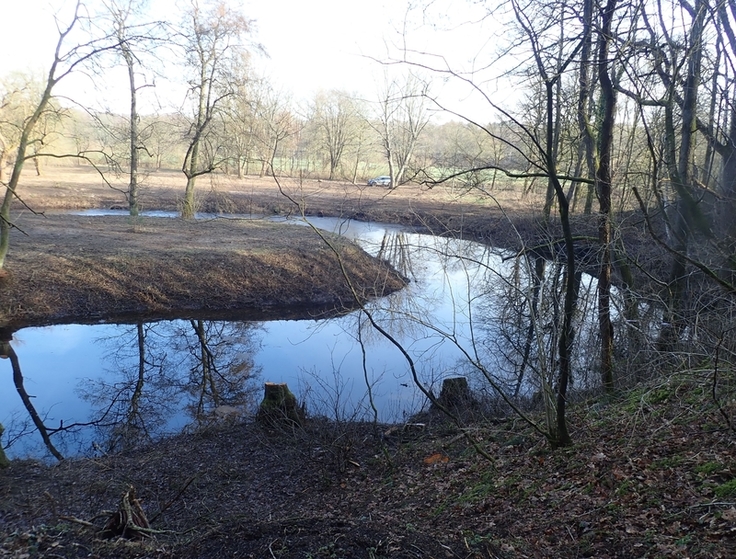 Nach Abschluss der Gehölzarbeiten erfolgt nun im Spätsommer eine Entschlammung des Altarms und stellenweise die Gestaltung von Flachwasserzonen. (Foto: Leonie Braasch)