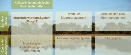 Bausteine des Programms Niedersächsische Moorlandschaften