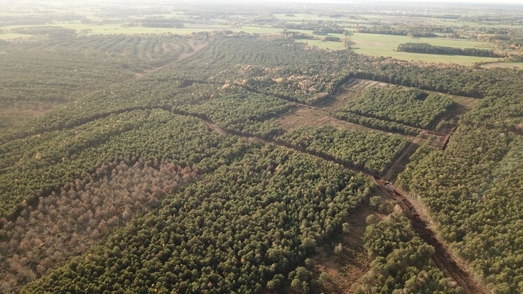 Es entstehen nach und nach Dammtrassen und Dämme zur Regenwasserrückhaltung im Otternhagener Moor. Durch die Dämme werden die moortypischen Wasserstände im Gebiet stabilisiert und verbessert.