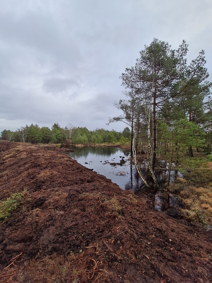 Nach den ersten Niederschlägen sammelt sich bereits das Regenwasser hinter den Moordämmen.