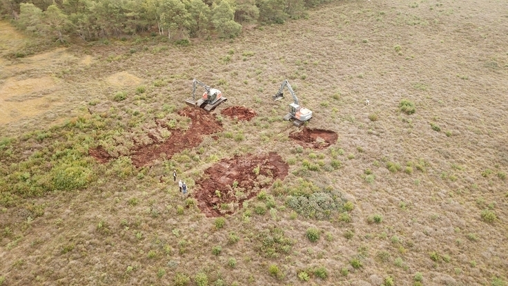 Die ersten Dammbaumaßnahmen im Bissendorfer Moor starten im September 2022. Auf der größtenteils bereits baumfreien Hochfläche des Moores entsteht ein Dammring von ca. 6 Kilometer Länge. Zwei Bagger mit breiten Moorketten bauen hier den Moordamm auf