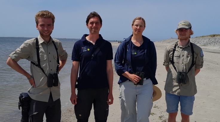 Gemeinsam für den Naturschutz (v.l.): Die Nationalparkpark-Ranger Niels Biewer und Frauke Gerlach (Mitte) und die NLWKN-BFDler Michel Glade und Ole Deubel (außen) leisten Teamarbeit auf Norderney (Bild: Imke Kreusel).