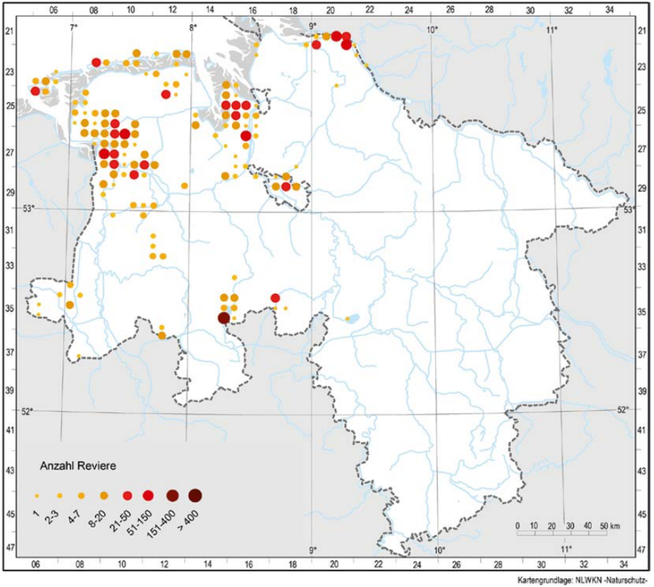 Verbreitungskarte der Uferschnepfe in Niedersachsen in den Jahren 2020 und 2021 nach TK 25-Quadranten. (Quelle: Blüml & Krüger 2022)