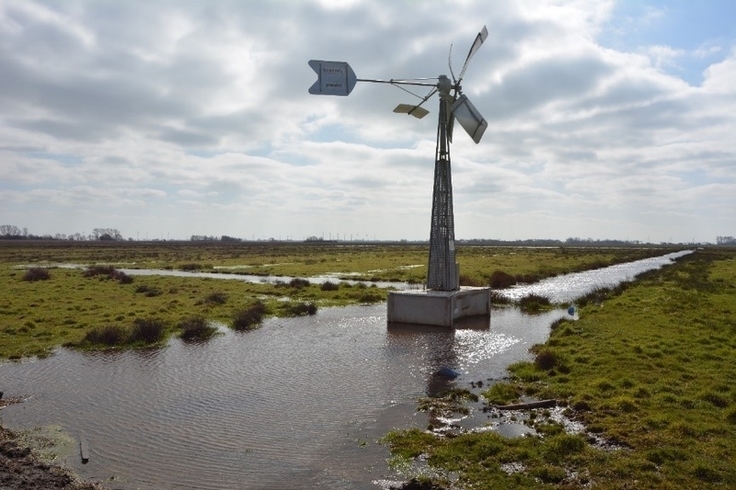 Windpumpe und vernässtest Grünland im Bereich Marienchor (März 2021, Rheiderland). Quelle / Bildrechte: NLWKN