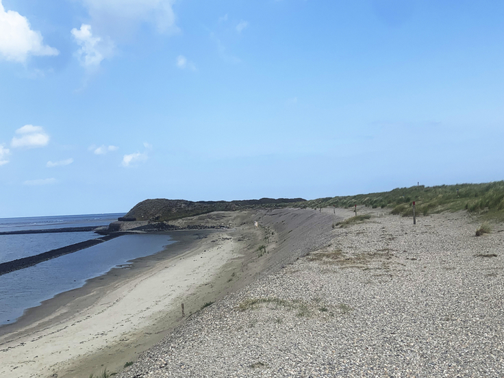 Bis zu sieben Meter hohe Abbruchkanten zeugen auf Spiekeroog von den durch Sturmfluten entfesselten Gewalten. Um die Insel noch besser zu schützen, wird an den Süderdünen in den kommenden Wochen Sand aufgespült (Bild: Hussy/NLWKN).