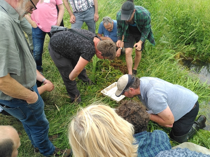 Dr. Thomas Eggers stellt die Ergebnisse der Wasserprobe vor, u.a. Larven der Prachtlibelle (Bild: Wittig/NLWKN).