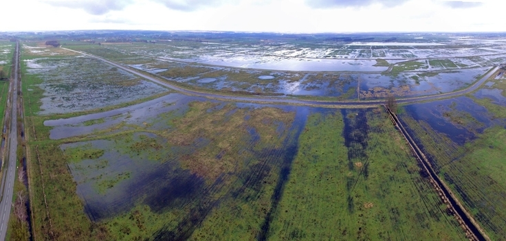 Panorama-Aufnahme des Osterfeiner Moors im Vogelschutzgebiet Dümmer. Mit großflächiger Wiedervernässung ehemaliger Überschwemmungsgebiete werden Ziele des Artenschutzes und des Klimaschutzes erreicht. (Foto: Dr. Marcel Holy)
