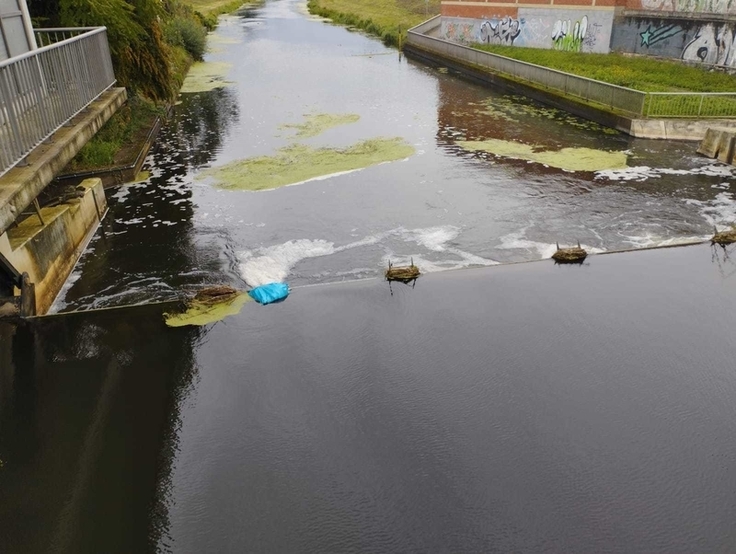 Ein Problem ist, wenn sich Müllsäcke verfangen, wie hier beim Wehr Lüchow.