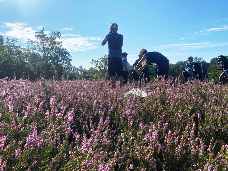 Die Vareler Heide bei Scheeßel (Foto R.Lemb).