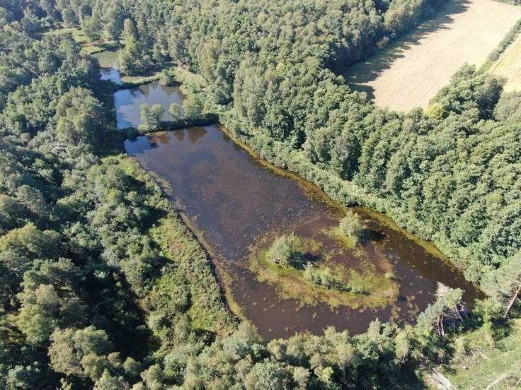 Luftbildaufnahme der Teichkette vor Maßnahmenumsetzung (Foto: Heiko Köster)