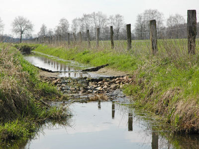 Überlaufstau im Projektgebiet