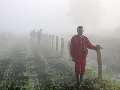 Bautrupp bei Zaunarbeiten im Sommer 2003