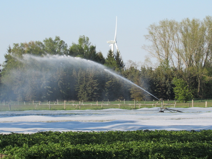 Veränderungen der Grundwasserstände können sich auf verschiedene Bereiche in Niedersachsen auswirken, z.B. bei Entnahmen f. d. Trinkwasserversorgung oder zur Bewässerung in der Landwirtschaft, aber auch auf die Wasserversorgung von natürlichen Ökos