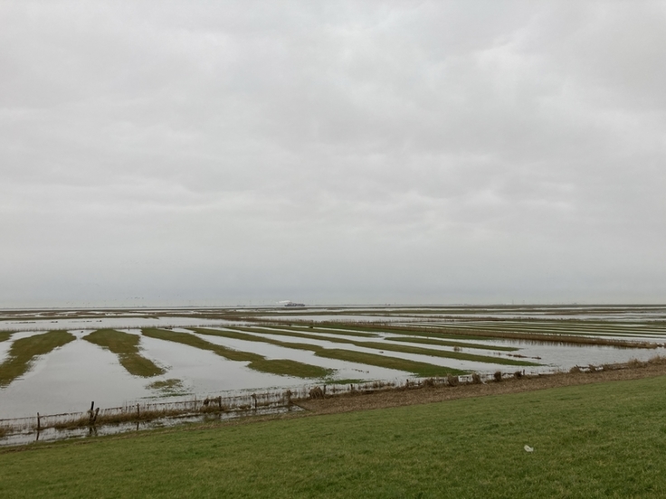 Nach einer Sturmflut entstehen ab einem gewissen Wasserstand neue temporäre Flachwasser- und Feuchtbiotope.