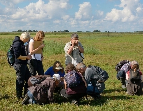 Kartiertreffen: Erfassung gefährdeter Arten und persönlicher Austausch der ehrenamtlich Kartierenden