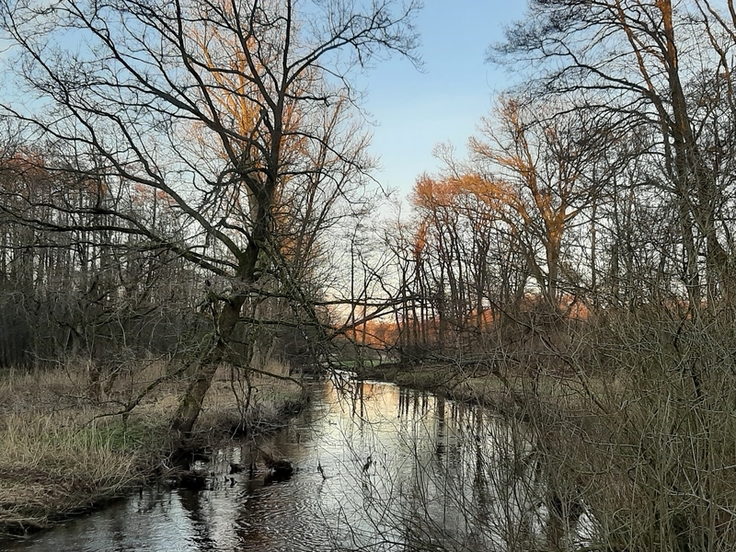 Nicht immer gibt sich die Este wie hier bei Heimbruch derart idyllisch. Wo bei Hochwasser Gefahren drohen, wurde jetzt anhand aktueller Daten und Methoden neu ermittelt (Bild: NLWKN).