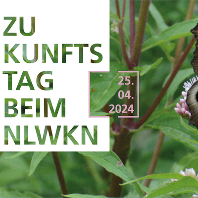 Slider Zukunftstag 2024 am 25. April