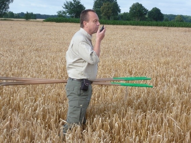 Nestsuche im Kornfeld. Die Stangen dienen zur Markierung für die Landwirte.