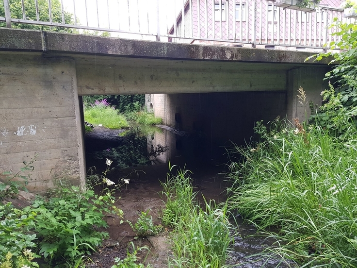Die Remte südlich der Brücke der K16 in Bisperode (Foto: STADT-LAND-FLUSS INGENIEURDIENSTE GmbH)