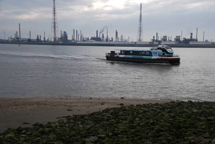 Der vielfach am Tag vorbeifahrende "Waterbus" erzeugt einen sehr starken Wellenschlag.