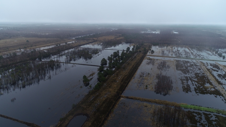 Blick aus der Luft auf die Projektflächen des NLWKN im Großen Moor. (Foto: Silke Seemann/NLWKN)