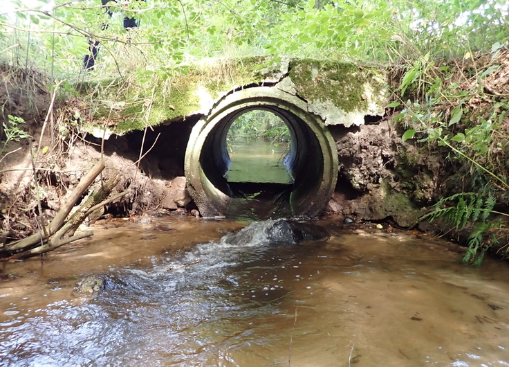Ein Rohrdurchlass beeinträchtigt die Durchgängigkeit am Rohrbach. Der Durchlass im Rohrbach liegt oberhalb Döhrenkamp. (Foto: NLWKN)
