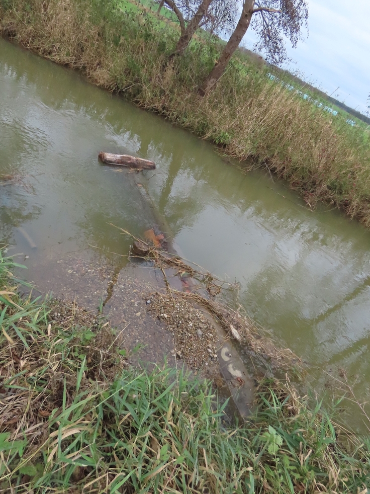Leben aus totem Material: An der Schunter wurden im großen Stil Stämme und Stubben als Totholz eingebaut (Bild: NLWKN).