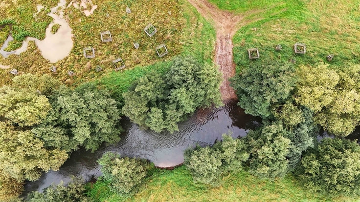 Das Ergebnis der Arbeiten an der Rhume aus der Luft: Die Strömungsvariabilität wurde durch die Kiesrausche gesteigert. Ein Verbissschutz sichert den Erfolg der Neuanpflanzungen. Oben links ist der Wasserrückhalt in der Fläche erkennbar (Bild: Moggert