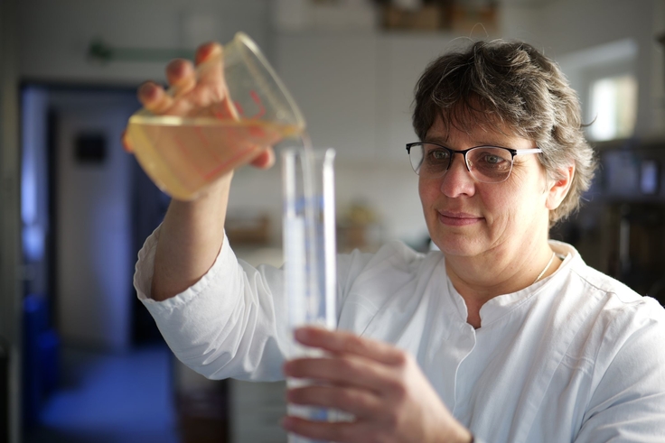 Hier wird genau hingeschaut: Zurück am NLWKN-Standort Norden werden die Wasserproben unter die Lupe genommen. (Bild: Lippe/NLWKN)