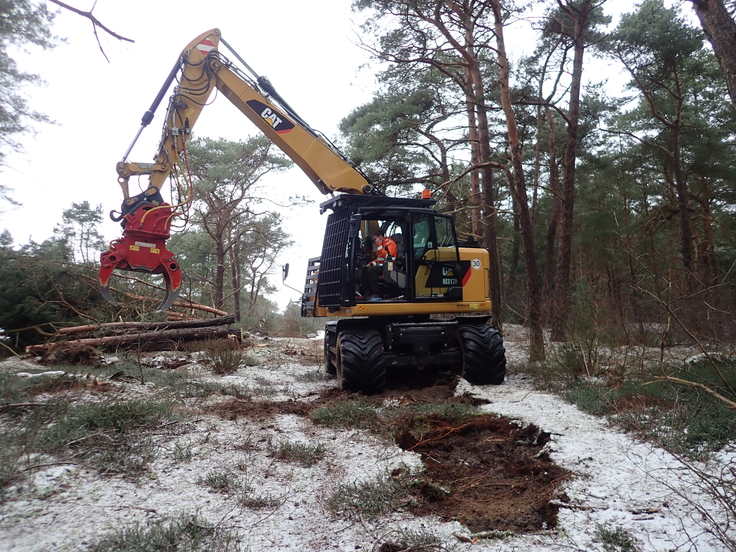 Der Bagger verstärkte den ursprünglichen Offenland-Charakter in der Itterbecker Heide durch die gezielte Entnahme von Kiefern (Foto: Hanna Liesenfelder/NLWKN).