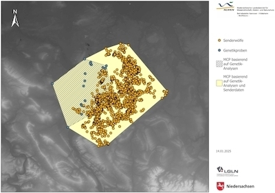 Ein Minimum Convex Polygon (MCP) kann Rückschlüsse auf Territoriumsgrößen erlauben. Im Vergleich: 2 MCPs mit unterschiedlichen Datengrundlagen
