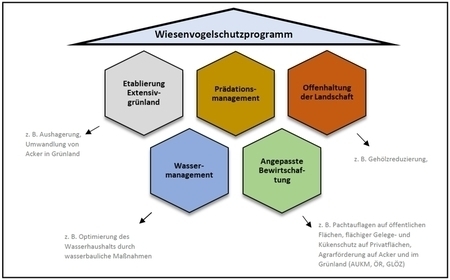 Schema