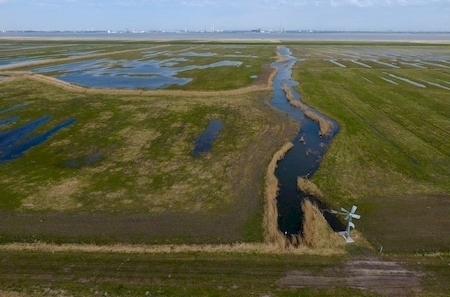 Feuchtgrünlandkomplex im EU-Vogelschutzgebiet Unterelbe zu Beginn der Brutzeit: Hier wurden durch mehrere ineinandergreifende Naturschutzvorhaben, wie zuletzt das LIFE-Projekt Wiesenvögel, Flächen angekauft und rund 700 ha wiedervernässt (März 2017)
