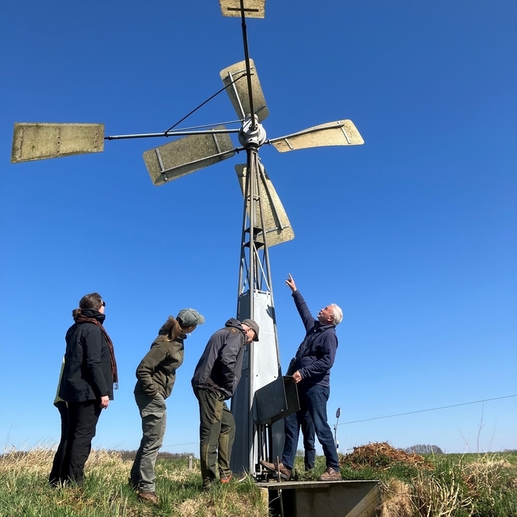 Projektleiter Heinrich Belting erläutert den Gästen aus dem Baltikum die Funktionsweise der windbetriebenen Wasserpumpen, die die Wasserstände auf den Wiesenvogelflächen regulieren.